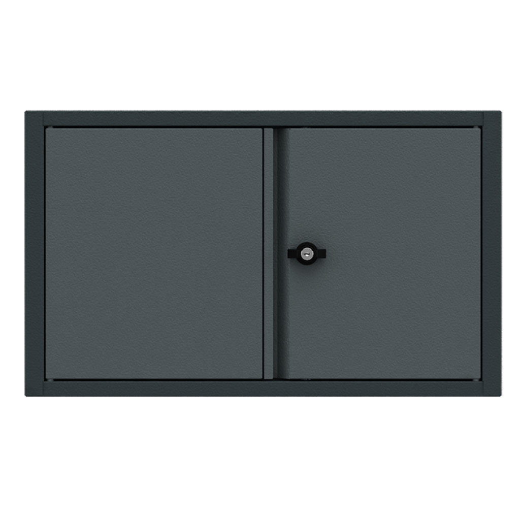 [BG62WD2] Wall cabinet 2 doors Expert